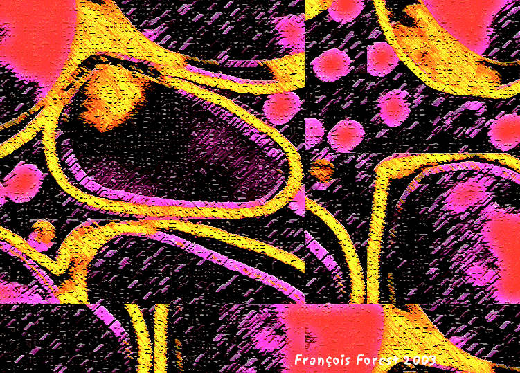 ESSAIS DE MISE EN IMAGE 3.gif